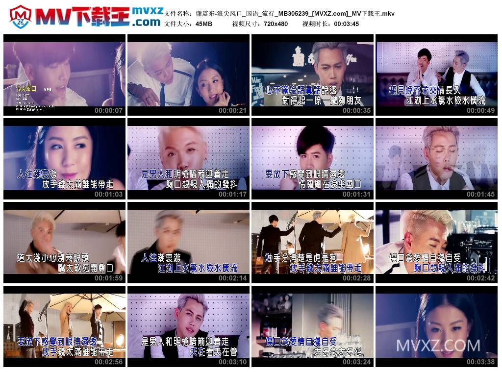 谢震东-浪尖风口_国语_流行_MB305239